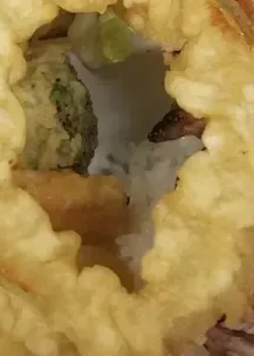 tempura-combo